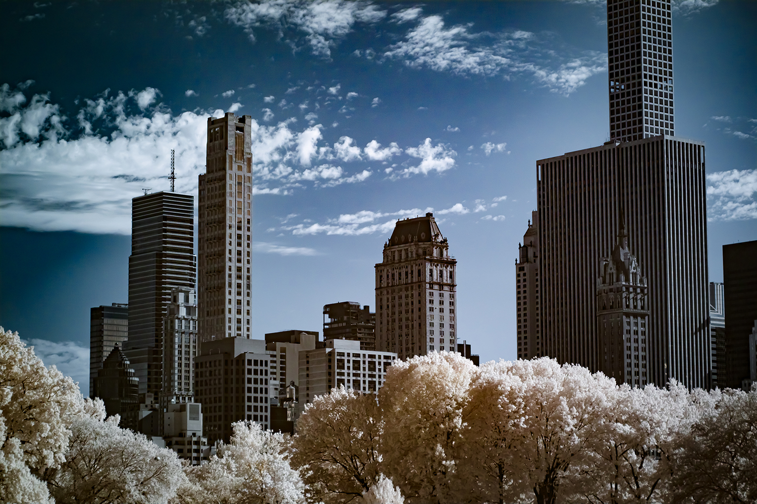 Central Park Skyline